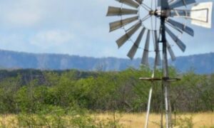 Inscrições abertas para o concurso AL RN