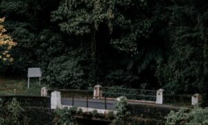 Concursos no Estado do Paraná em 2022