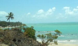 Concurso TCE AL tem edital publicado!