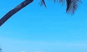 Concurso TRT AL: novo edital publicado. Inscrições já estão abertas!