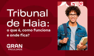 Tribunal de Haia: o que é, como funciona e onde fica?