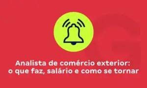 Analista de Comércio Exterior: o que faz, salário e como se tornar
