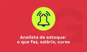 Analista de estoque: o que faz, salário, curso