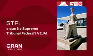 STF: como funciona e quais as responsabilidades? Entenda mais aqui!