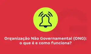 Organização Não Governamental (ONG): o que é e como funciona?