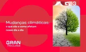 Mudanças climáticas: o que são e como afetam nosso dia a dia