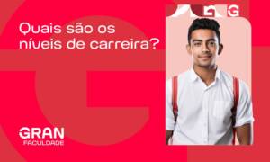 Níveis de carreira: guia para estruturar, promover e evoluir (com exemplos práticos)