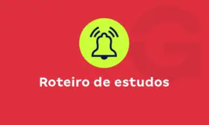 Como montar um roteiro de estudos eficiente? Confira o passo a passo