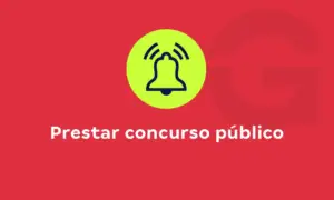 Prestar concurso público: como conquistar sua vaga no serviço público